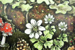 forest-floor-detail
